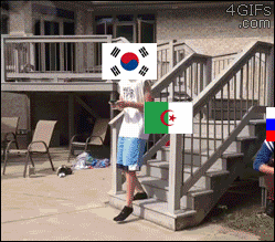 981436525_a88401d5.gif