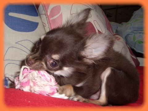 2011年12月