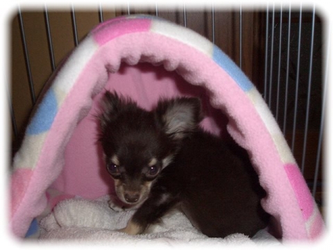 2011年12月阿蘇 001