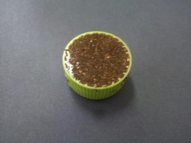 ペットボトラ