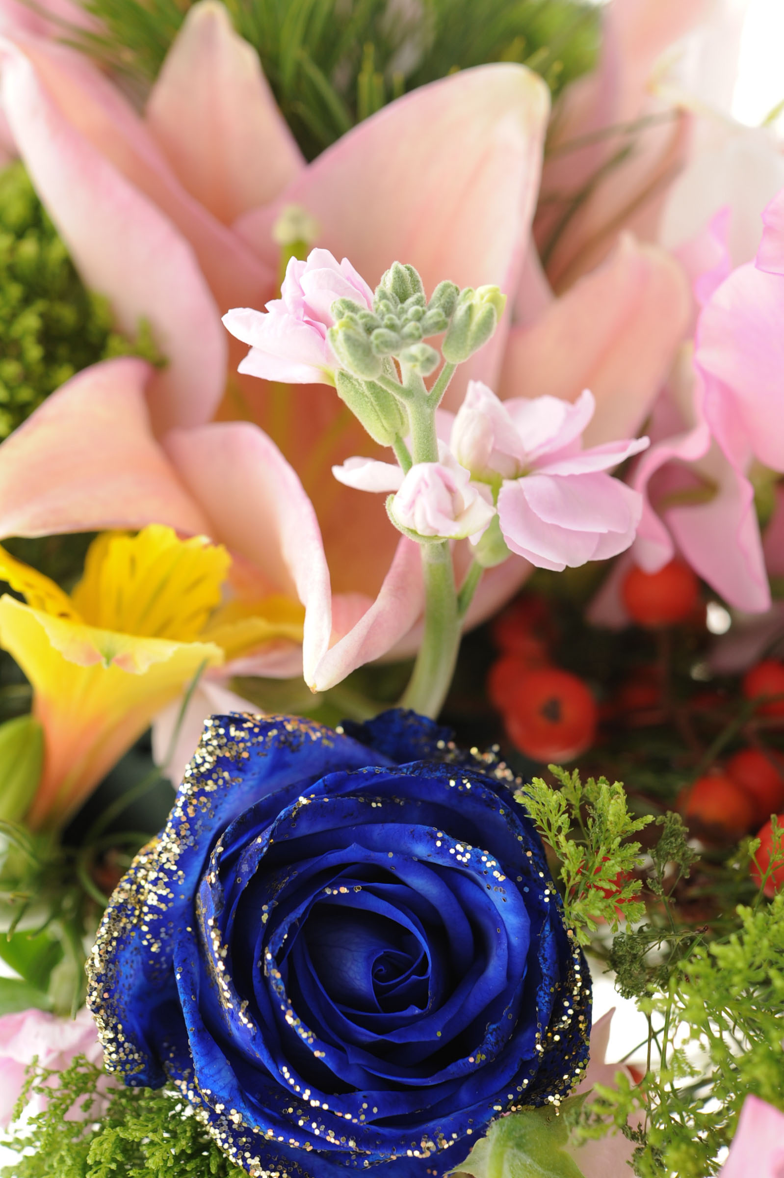 青いバラとピンクの花 Hana 花畑photo フリー 無料 の写真素材 壁紙置き場 フラワーアレンジメント