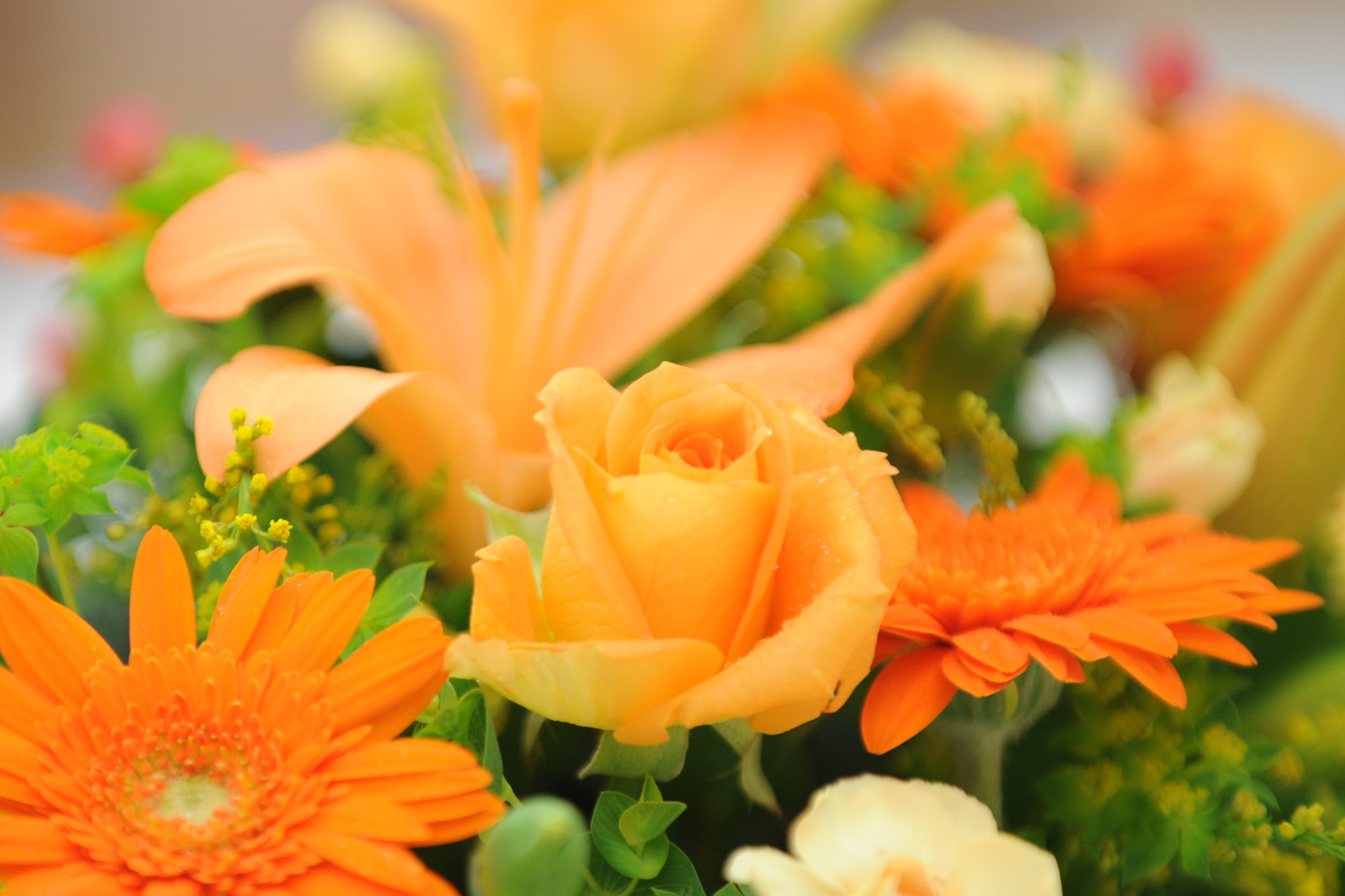 オレンジ色のバラを中心にしたフラワーアレンジメント Hana 花畑photo フリー 無料 の写真素材 壁紙置き場 オレンジ色の花