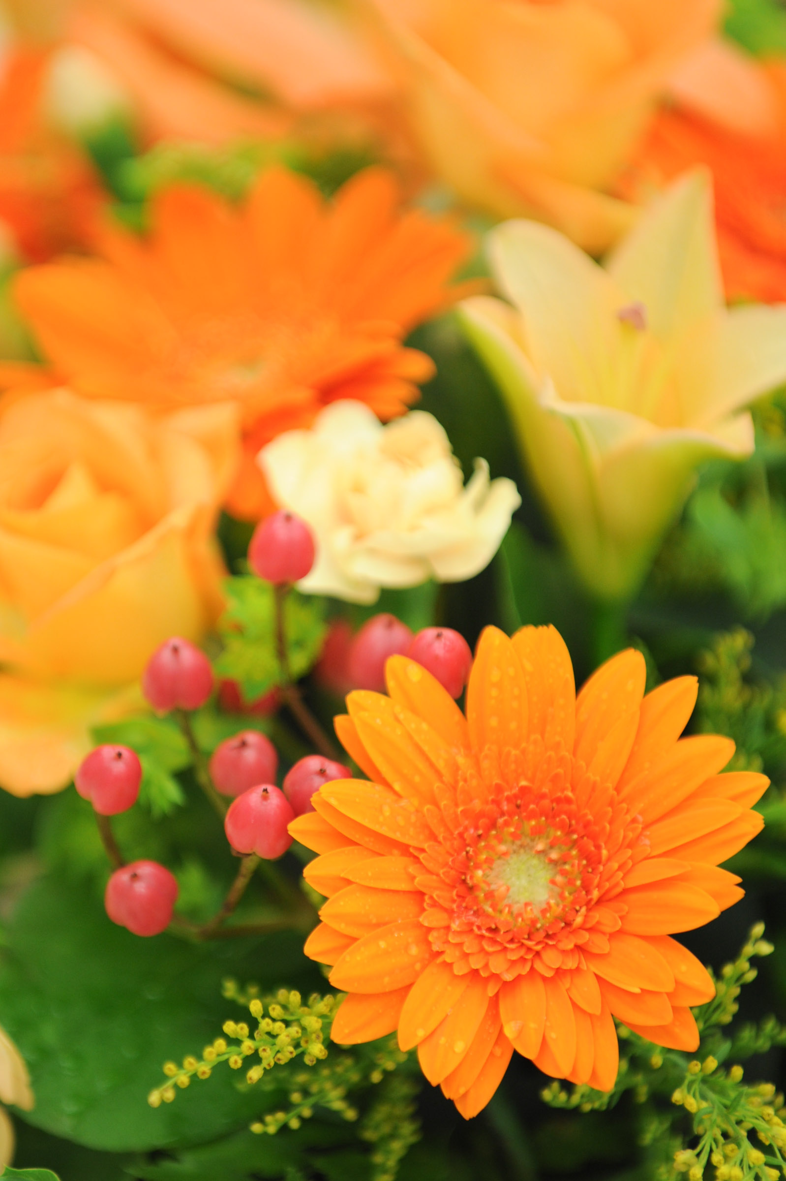 水滴が付いた綺麗なオレンジ色の花と他の花々 Hana 花畑photo