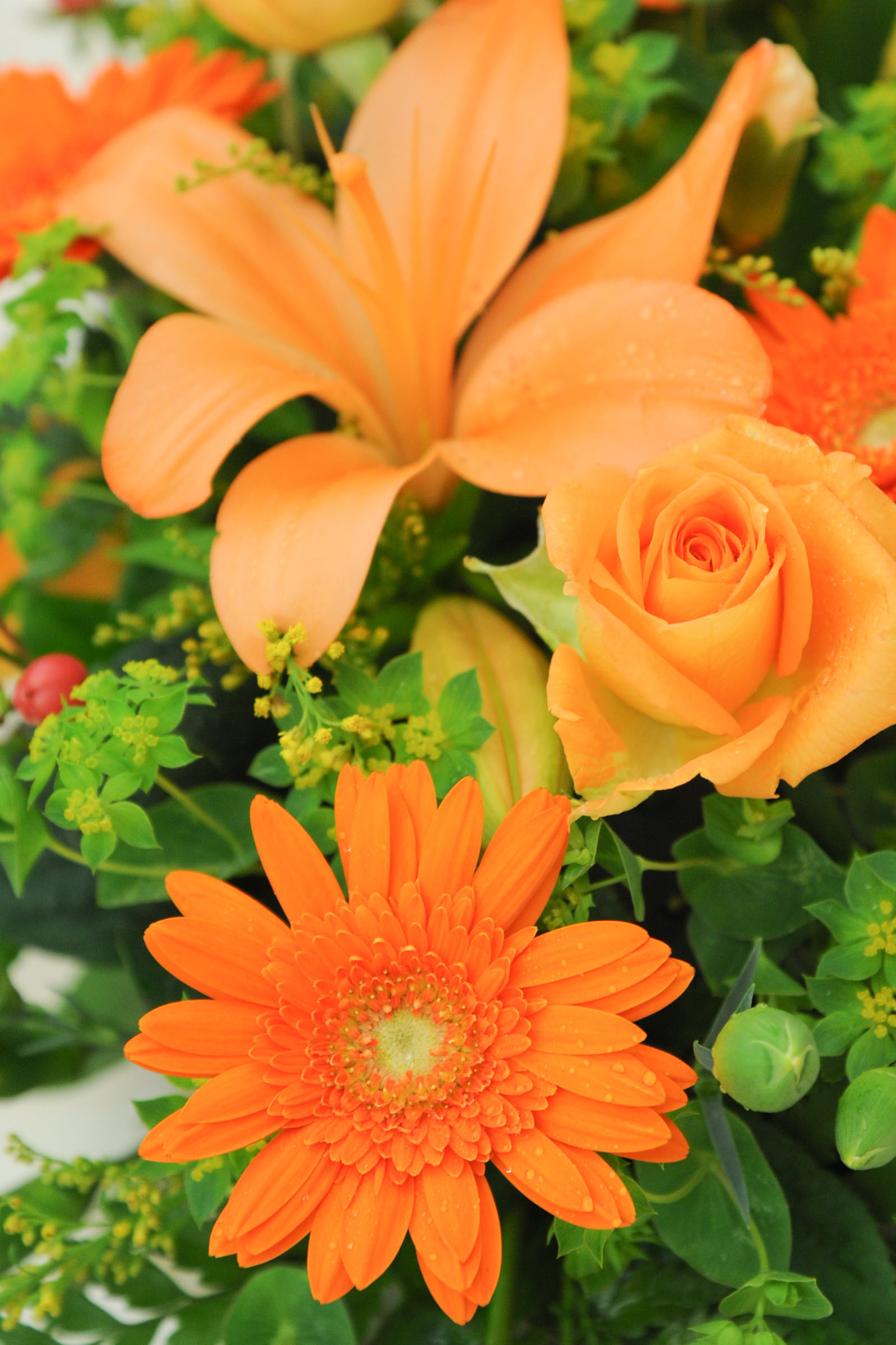 ユリとバラと菊 すべてオレンジ色の花で統一 Hana 花畑photo フリー 無料 の写真素材 壁紙置き場 オレンジ色の花