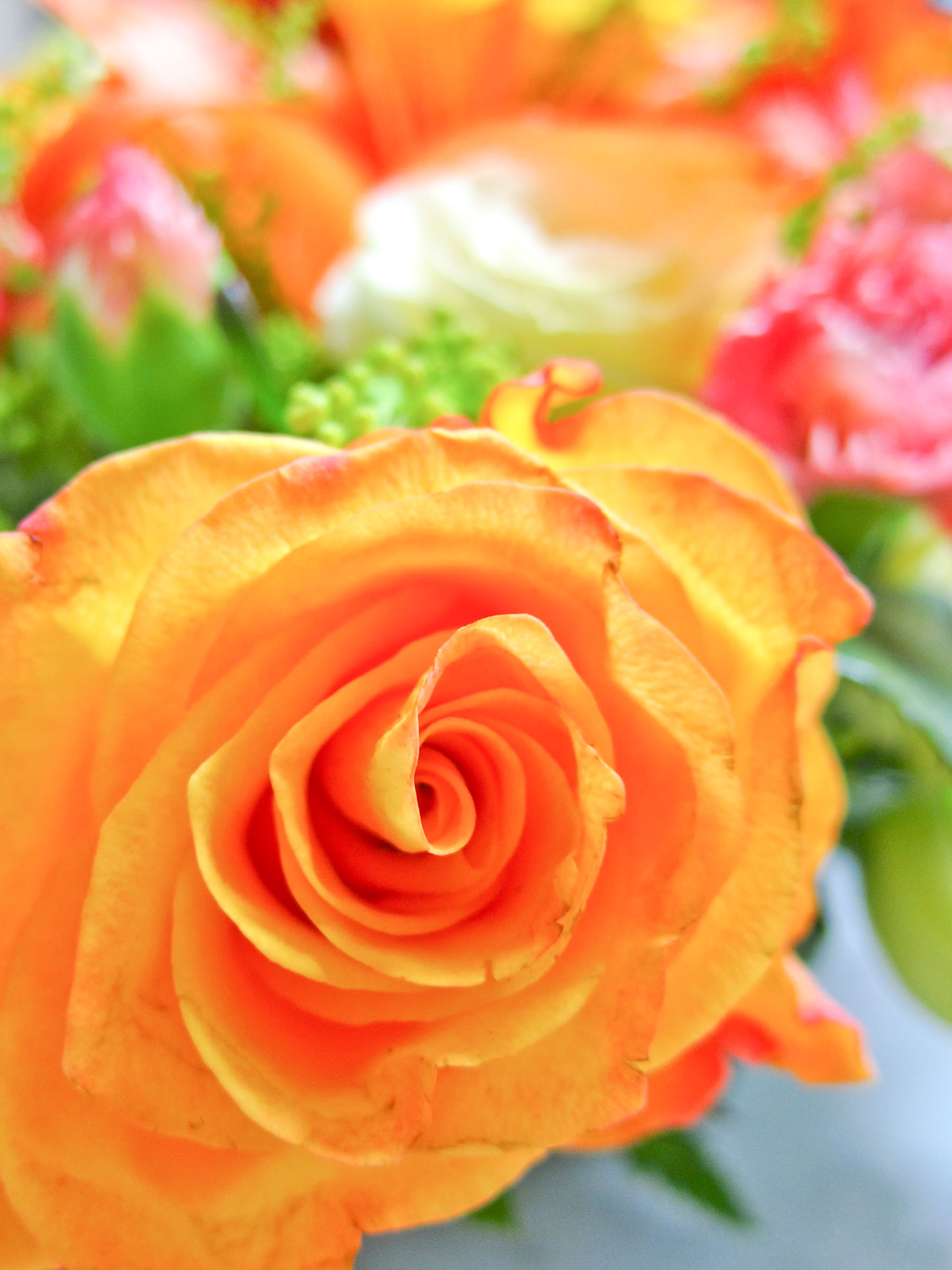 オレンジ色の花 少し傷み有ります Hana 花畑photo フリー 無料 の写真素材 壁紙置き場 オレンジ色の花