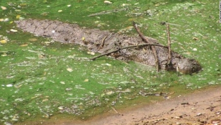 E00119.jpg