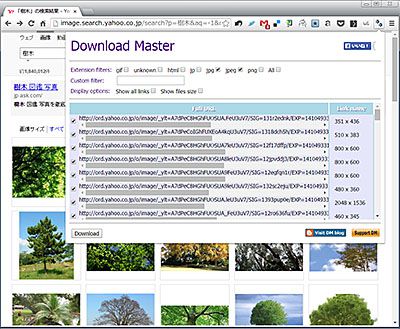 便利ツール 個別にダウンロードする必要なし ページ内の画像やファイルを一括ダウンロードできるchrome拡張機能 Download Master フリーソフトの樹