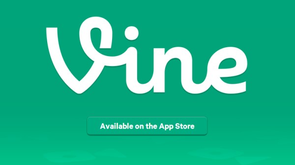 vine.jpg