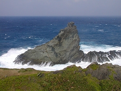 s-uga-right008.jpg