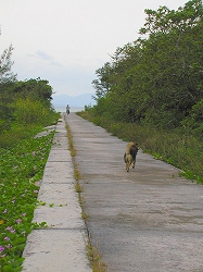 img20041117.jpg