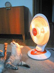 img20041231_1.jpg