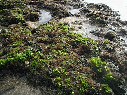 img20050115_1.jpg