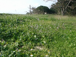 img20050117.jpg