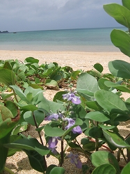 img20050815.jpg
