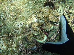img20050815_2.jpg