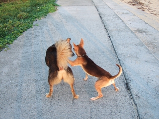 img20050926_1.jpg