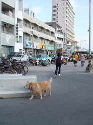 img20051017.jpg