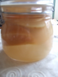 img20060121.jpg