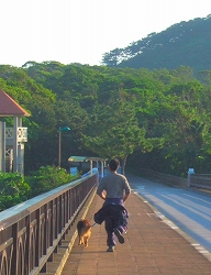 img20060206_1.jpg