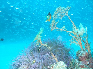 img20060823_2.jpg
