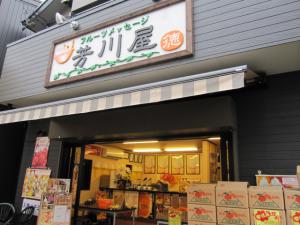 IMG_0443_20120121162834.jpg