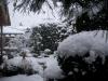 2012.2.29.4.雪
