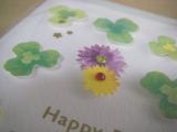 IMGP5873_20130529135314.jpg