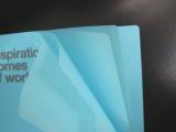 IMGP7271_20130709164936.jpg