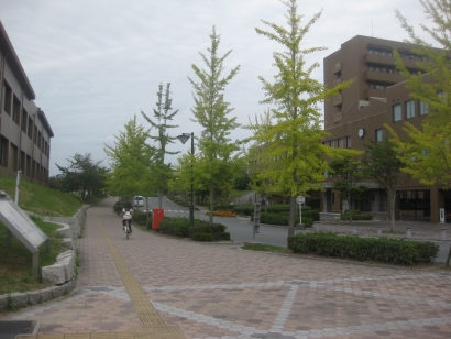 IMG_7520.jpg