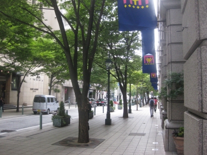 IMG_7568.jpg