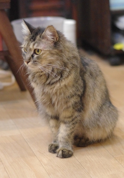 K52_1528.jpg