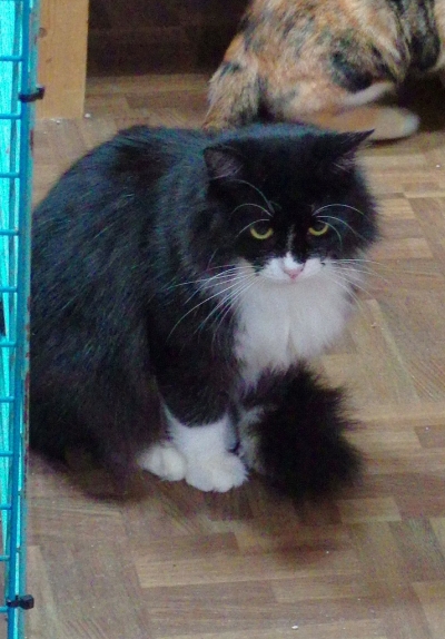 MX1_0417.jpg