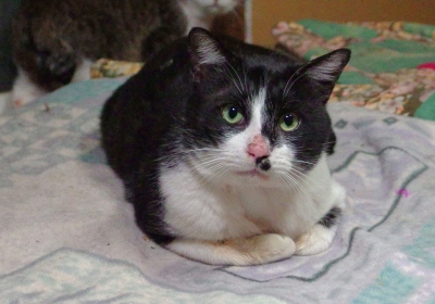 MX1_0425.jpg