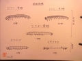 RIMG0769_20140208162054294.jpg