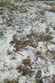 130317-7.jpg