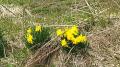 130511_113425.jpg