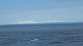 130517-3.jpg