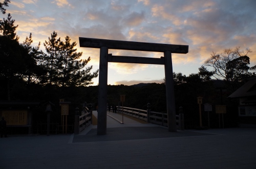 IMGP1511 (500x331)