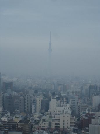 IMG_4867.jpg