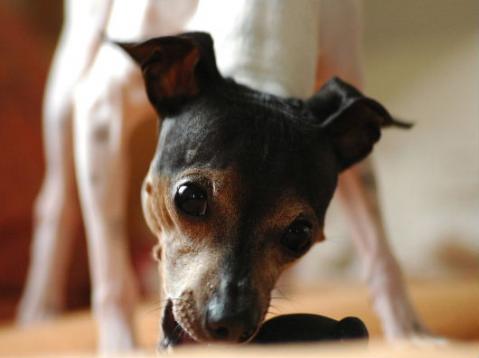 20110416DSC_005366