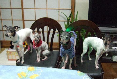 DSCF923311.jpg