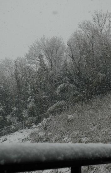 DSC_0002_20120229112129.jpg