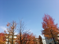 201311271103251ae.jpg