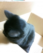 2013112723151395e.jpg