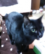 201311272318367b8.jpg