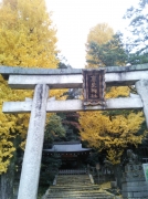 20131129215643171.jpg