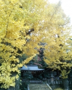 20131129215705b0b.jpg