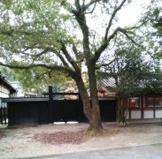 2013112921574969e.jpg