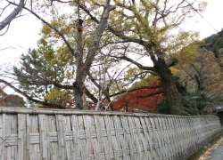 20131129215814ba8.jpg