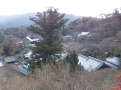 20131218205625289.jpg